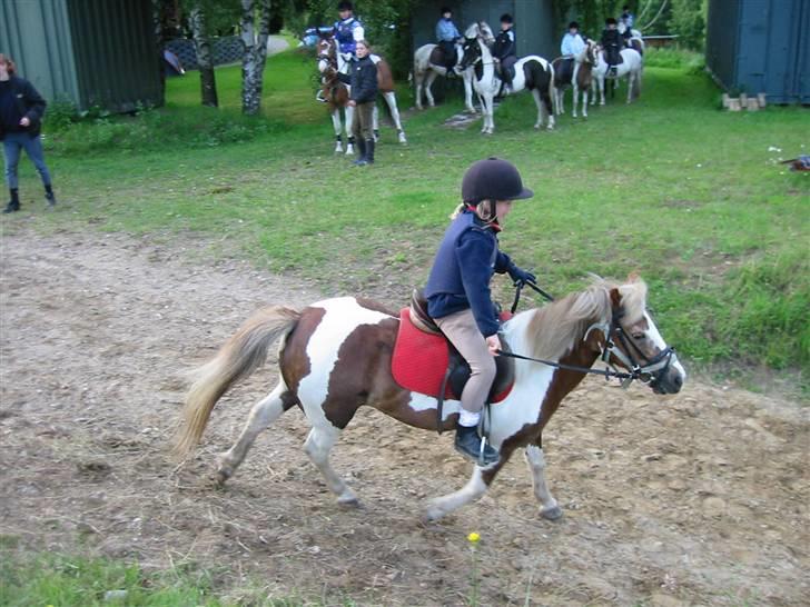 Østerlund Ridelejr billede 66