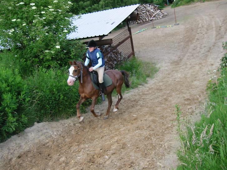 Østerlund Ridelejr billede 67