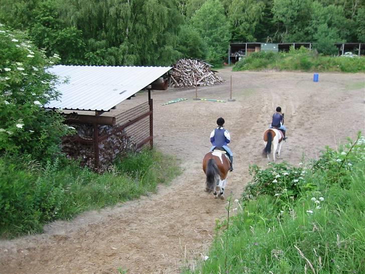 Østerlund Ridelejr billede 68