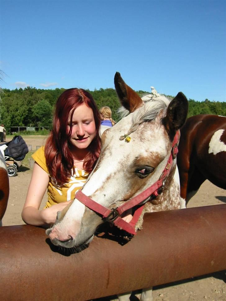 Østerlund Ridelejr billede 69