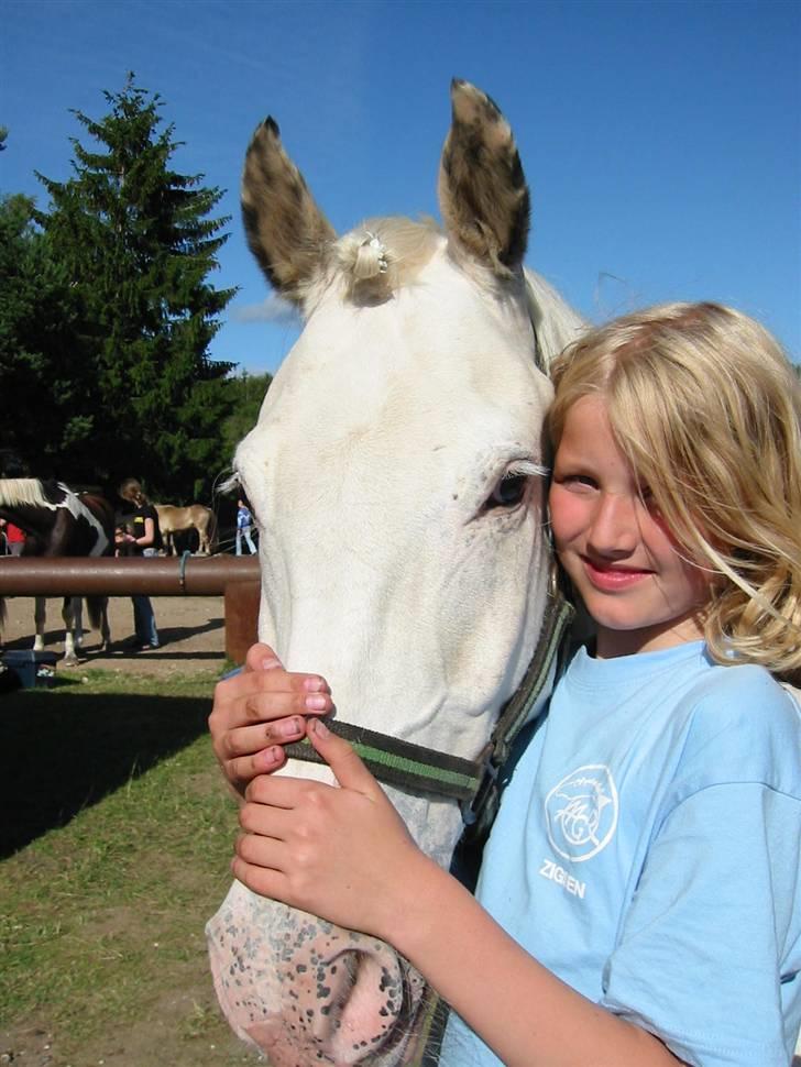 Østerlund Ridelejr billede 70