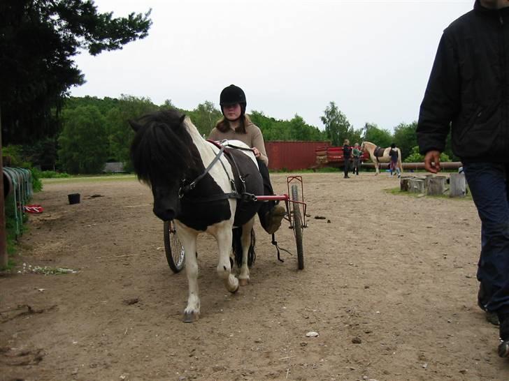 Østerlund Ridelejr billede 72