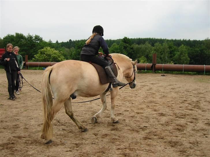 Østerlund Ridelejr billede 73