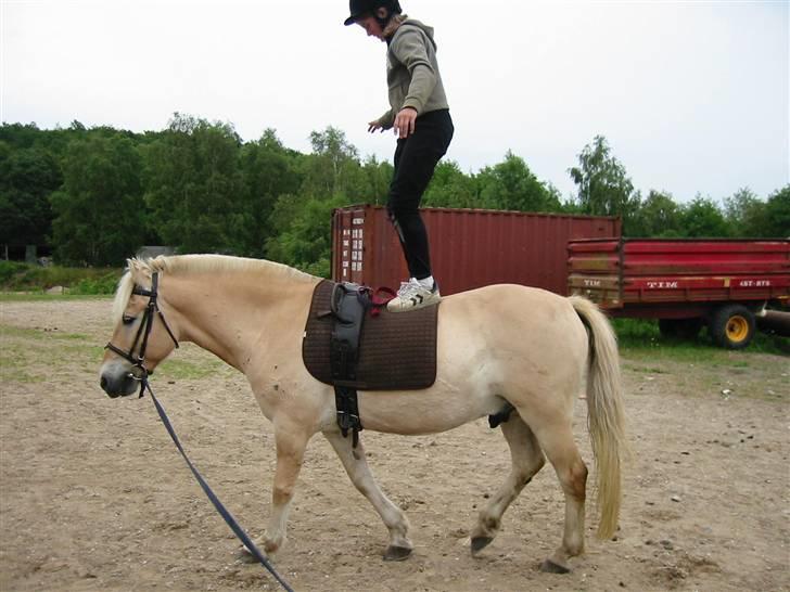 Østerlund Ridelejr billede 74