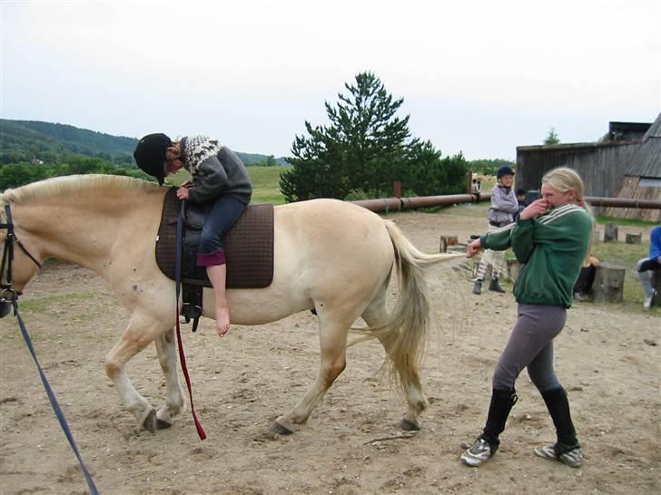 Østerlund Ridelejr billede 76