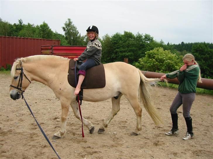 Østerlund Ridelejr billede 77
