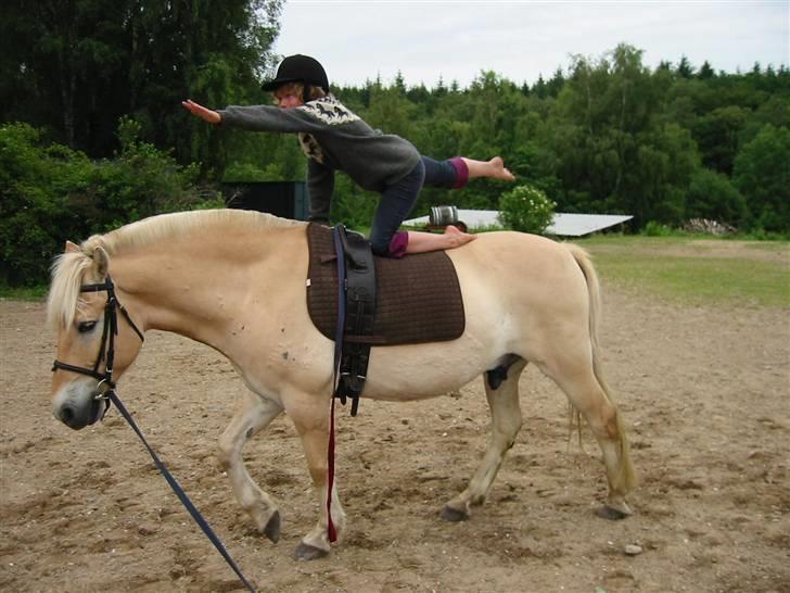 Østerlund Ridelejr billede 78