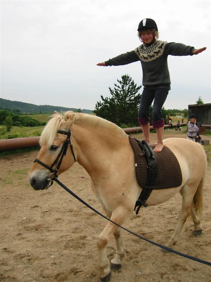 Østerlund Ridelejr billede 79