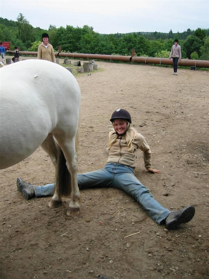 Østerlund Ridelejr billede 83