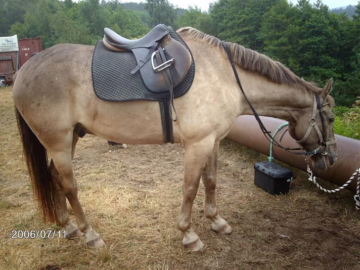 Østerlund Ridelejr billede 85