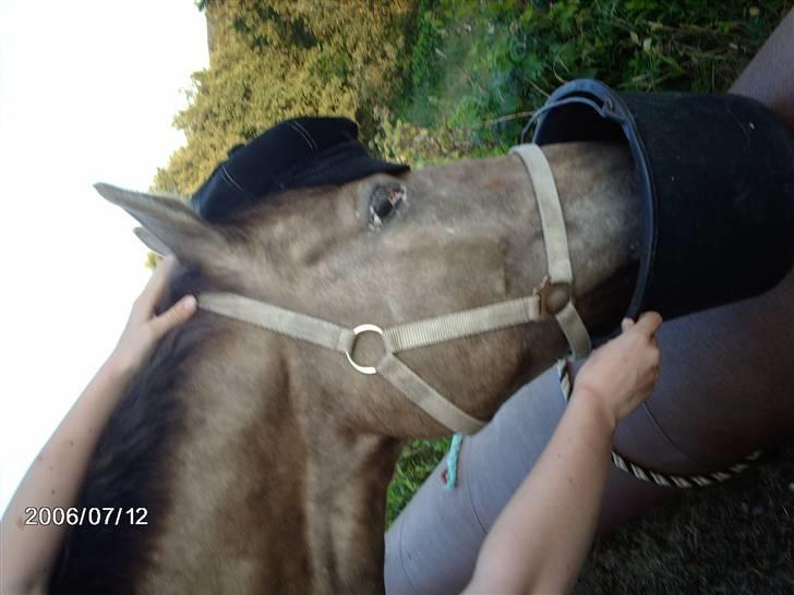 Østerlund Ridelejr billede 95