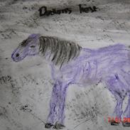 jeg vil tegne din hest:)