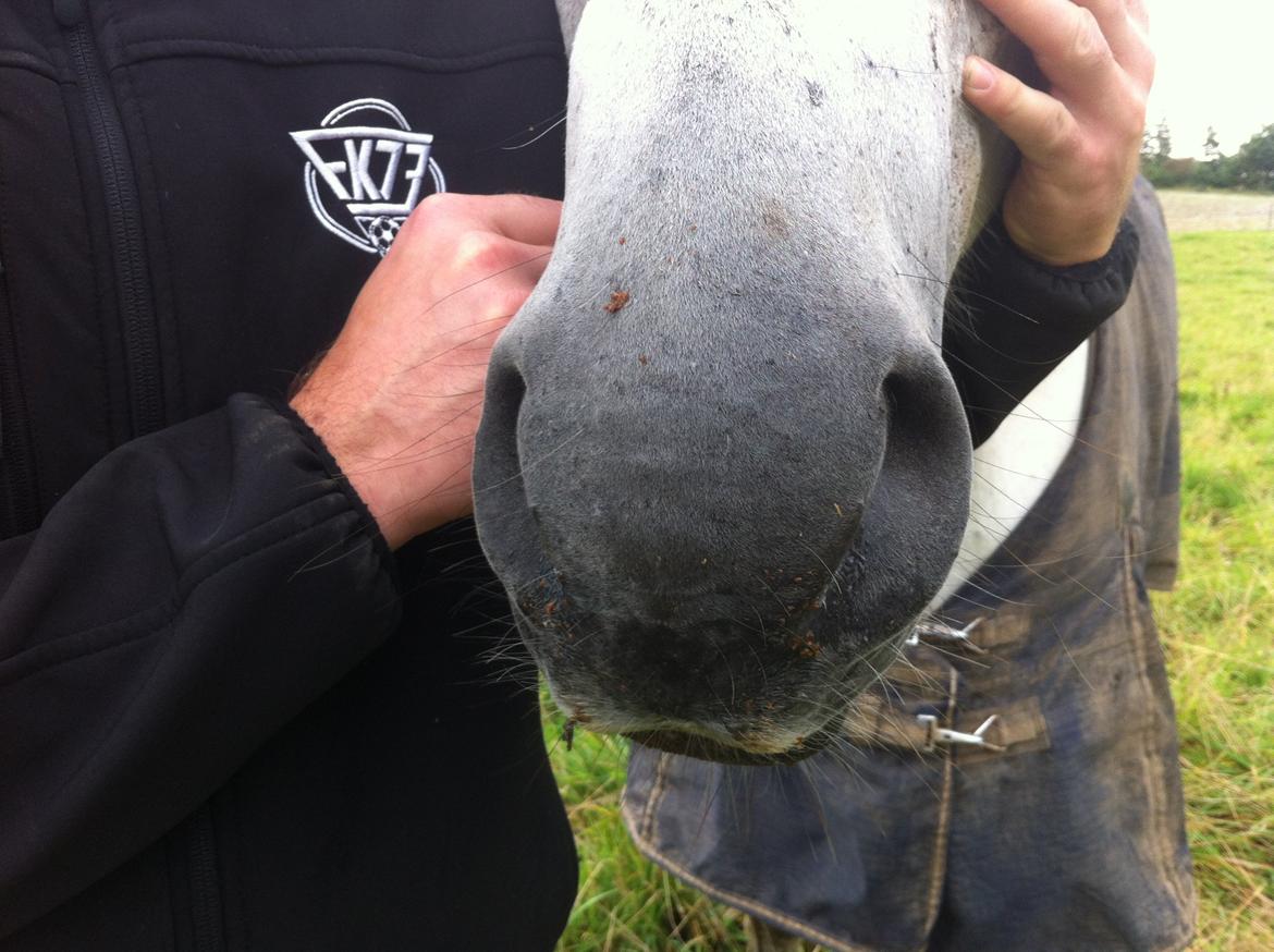 Kværke/brandfeber - Dag 8 billede 21