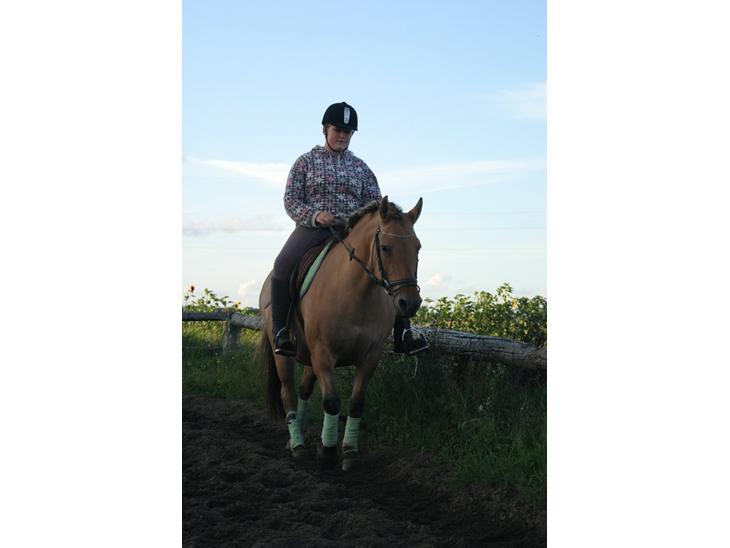 {{currentPhoto.altText}} billede {{currentPhoto.number}}