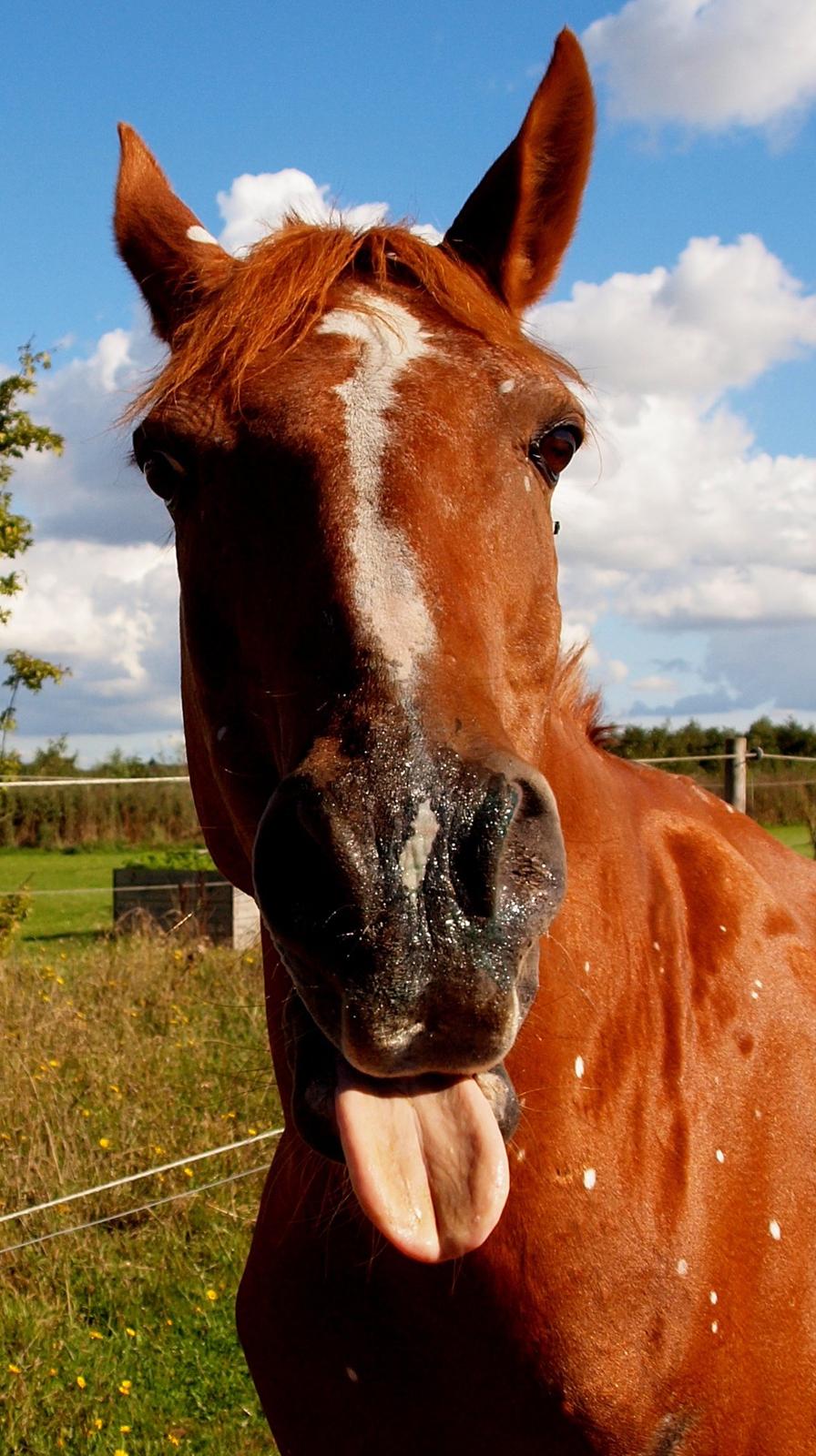 Smil! Du er på! :) billede 3