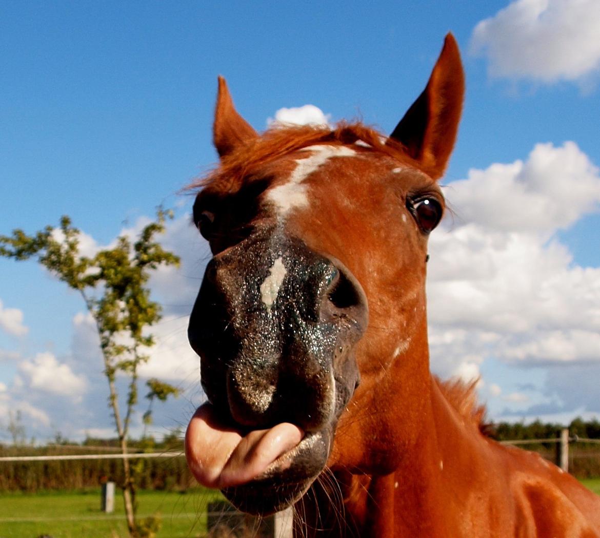 Smil! Du er på! :) billede 4