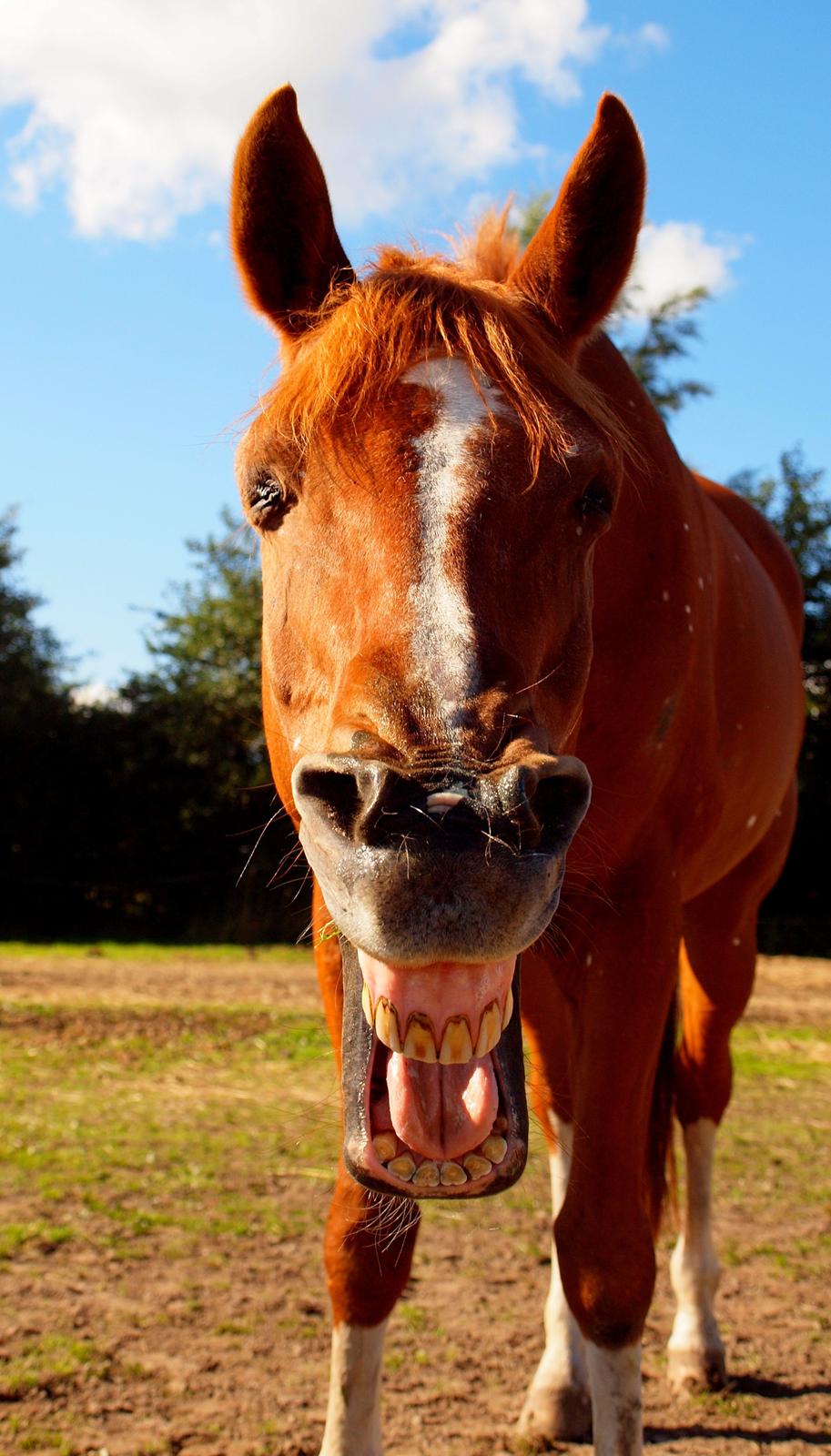 Smil! Du er på! :) billede 9