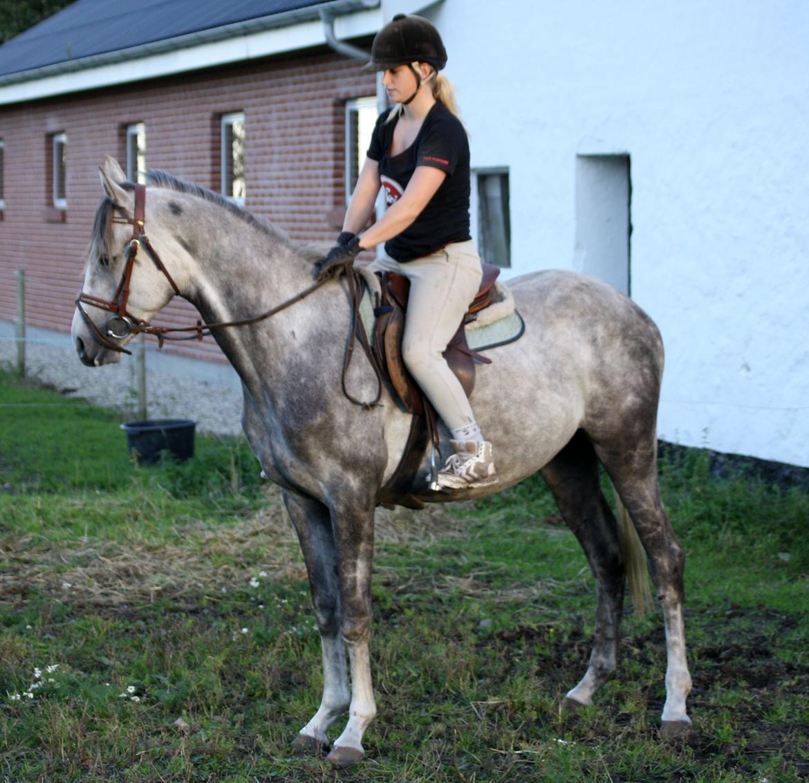 I tilridning ved Diana Klein :-D <3 billede 1