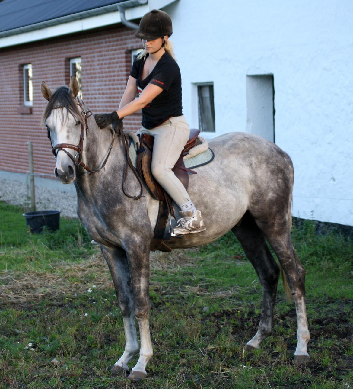 I tilridning ved Diana Klein :-D <3 billede 2