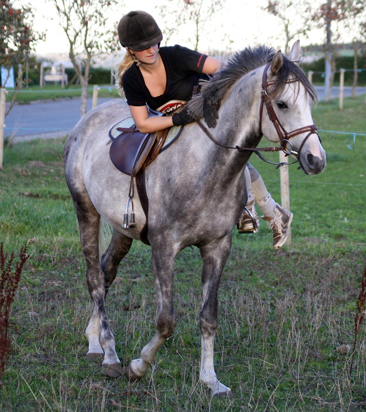 I tilridning ved Diana Klein :-D <3 billede 3