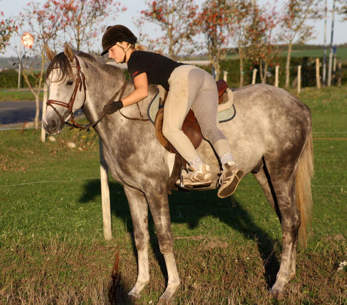 I tilridning ved Diana Klein :-D <3 billede 4