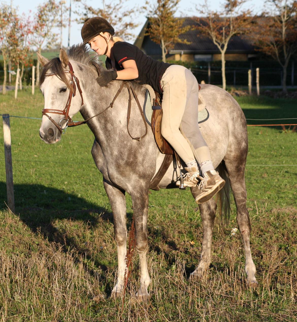 I tilridning ved Diana Klein :-D <3 billede 5