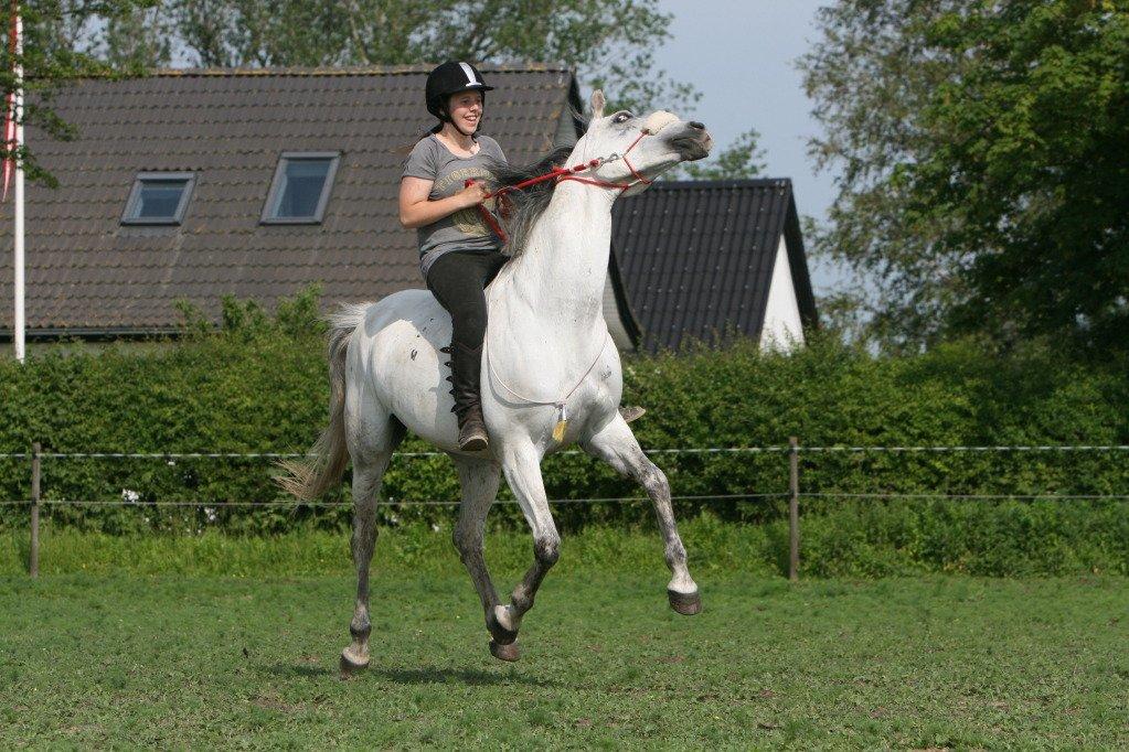 sjove/mærkelige/hyggelige billeder  billede 23