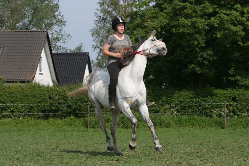 sjove/mærkelige/hyggelige billeder  billede 24