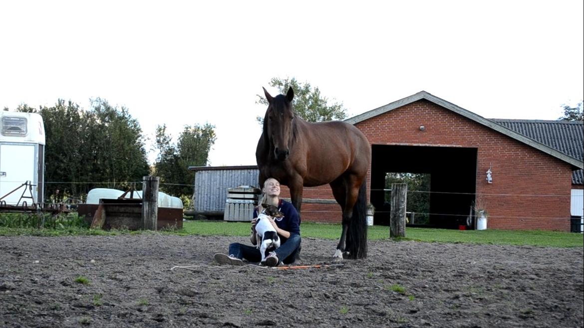 Vores billedebog. - Jeg elsker mine dyr af hele hjertet <3 billede 119