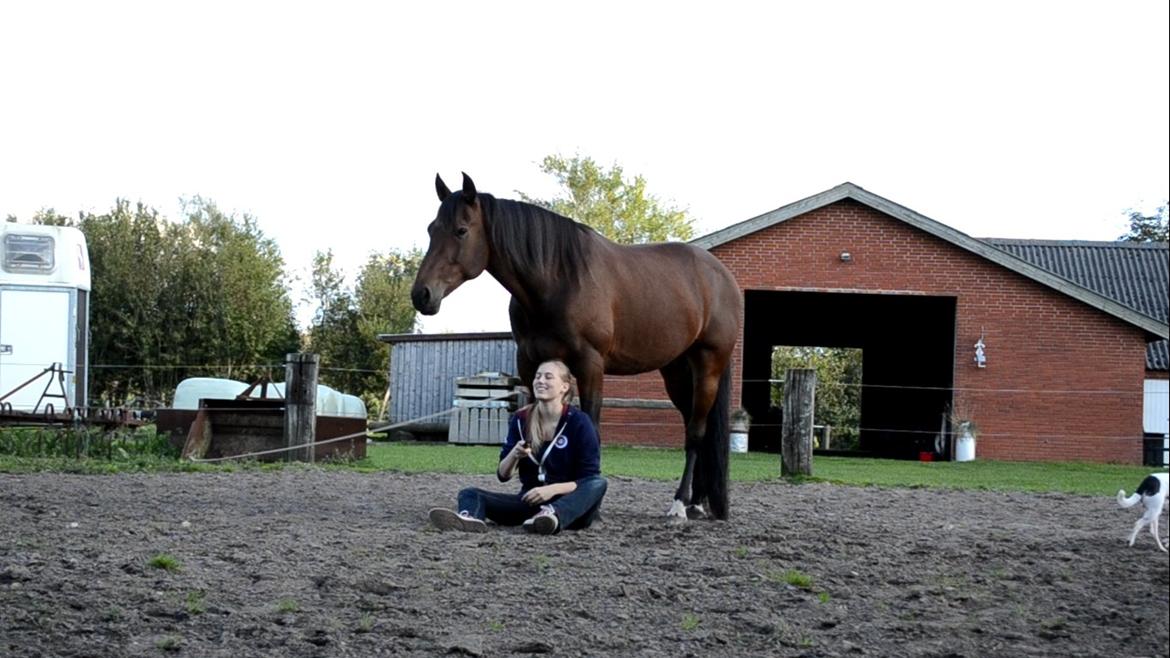 Vores billedebog. - Min hest er oversej!! billede 120