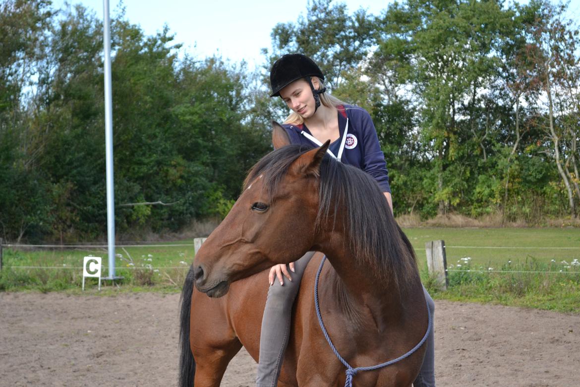 Vores billedebog. - Dette billede er det sidste billede der blev taget af Kaliber og jeg.. Dette er taget en times tid før han tog rejsen over på den anden side af regnbuebroen.. Jeg savner dig, min soulmate <3 billede 123