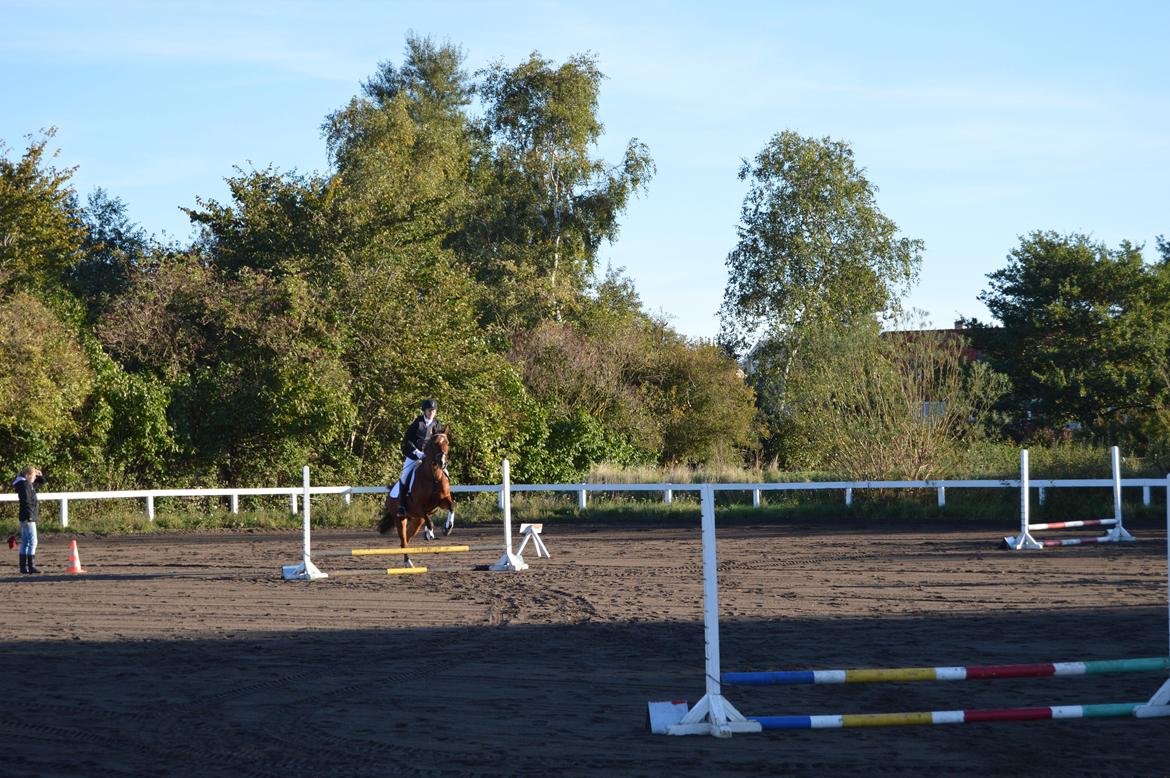 Stævne i Dolmer Rideklub D. 06-10-2013 billede 2