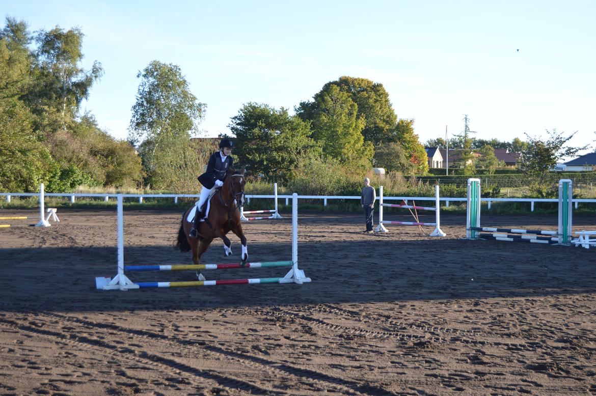 Stævne i Dolmer Rideklub D. 06-10-2013 billede 3