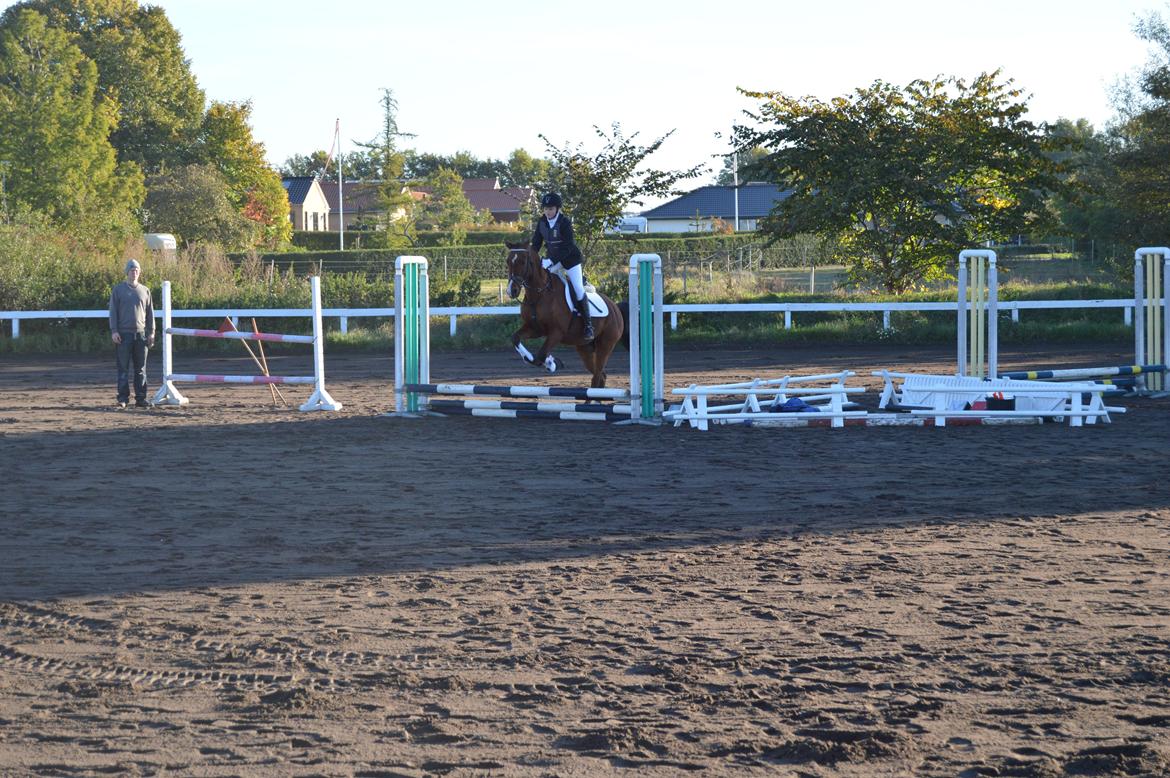 Stævne i Dolmer Rideklub D. 06-10-2013 billede 4