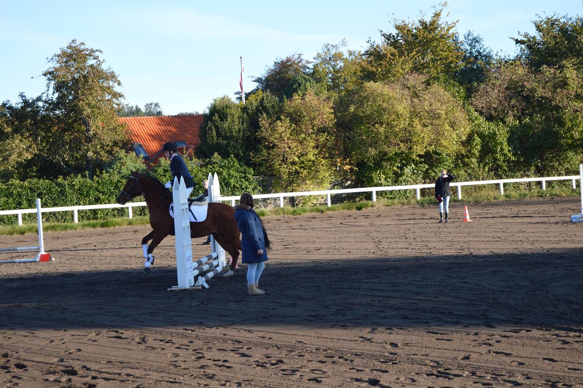 Stævne i Dolmer Rideklub D. 06-10-2013 billede 5