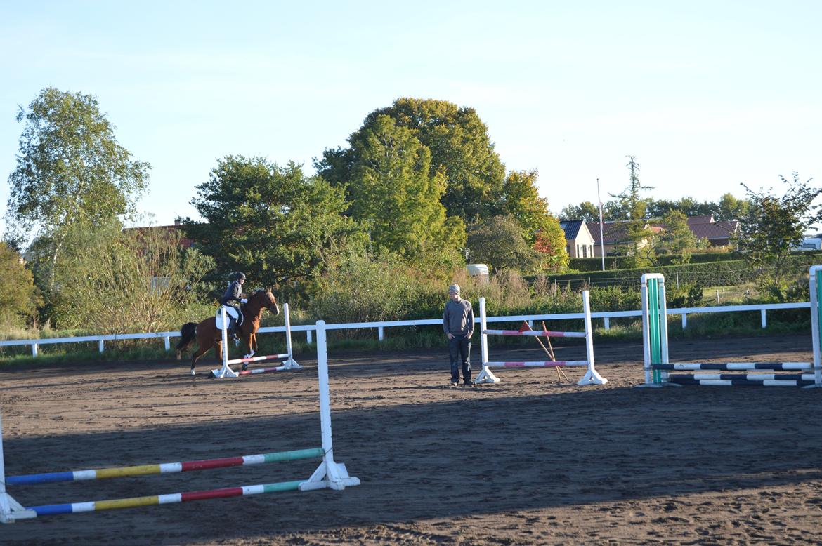 Stævne i Dolmer Rideklub D. 06-10-2013 billede 6