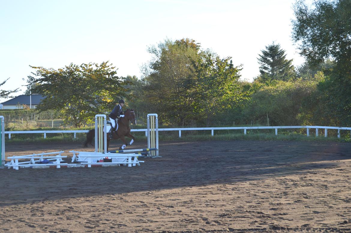 Stævne i Dolmer Rideklub D. 06-10-2013 billede 7