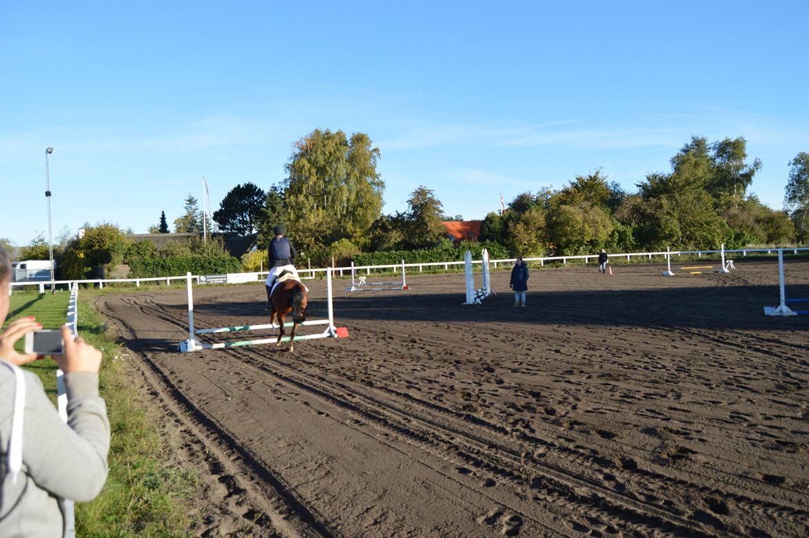 Stævne i Dolmer Rideklub D. 06-10-2013 billede 8