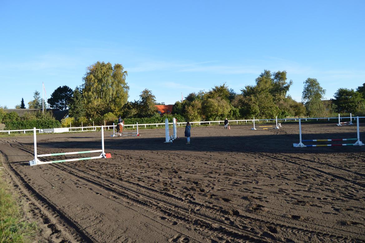 Stævne i Dolmer Rideklub D. 06-10-2013 billede 9