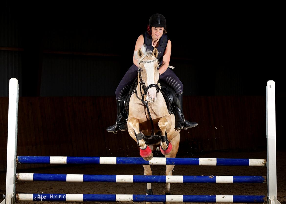 Billeder med Michael Nybo billede 1