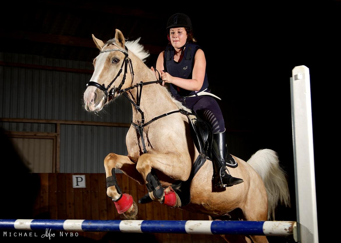 Billeder med Michael Nybo billede 2