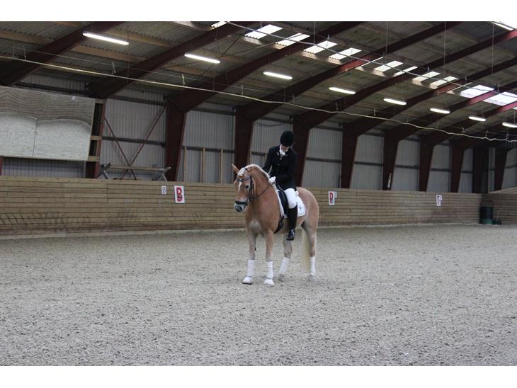 {{currentPhoto.altText}} billede {{currentPhoto.number}}