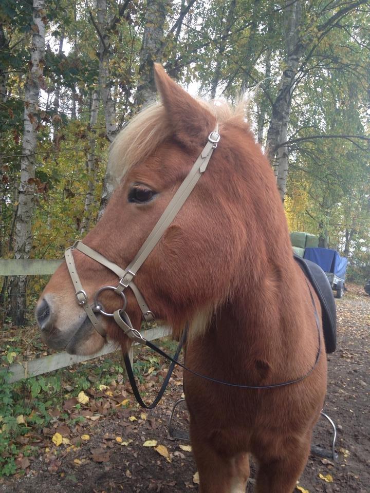Mit Biothan udstyr - Vá fra Arnakke
Ejer: Louise (mig) billede 15