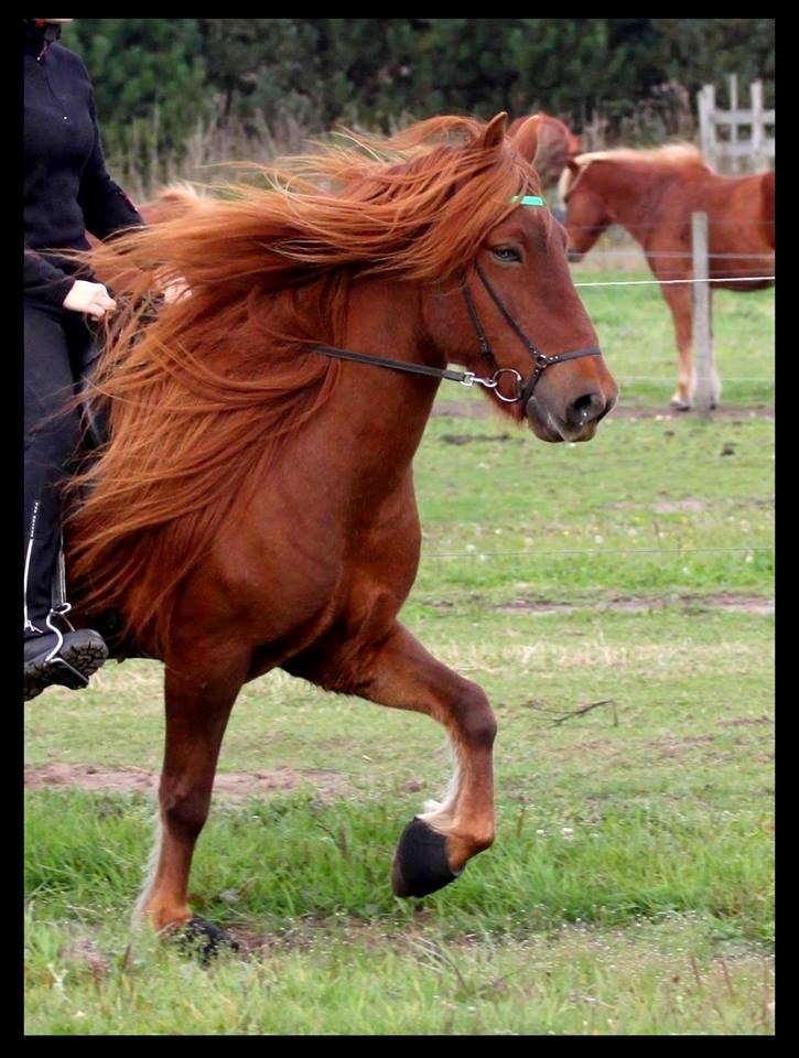 Mit Biothan udstyr - Odi
indsendt af Lise Baumbach billede 17