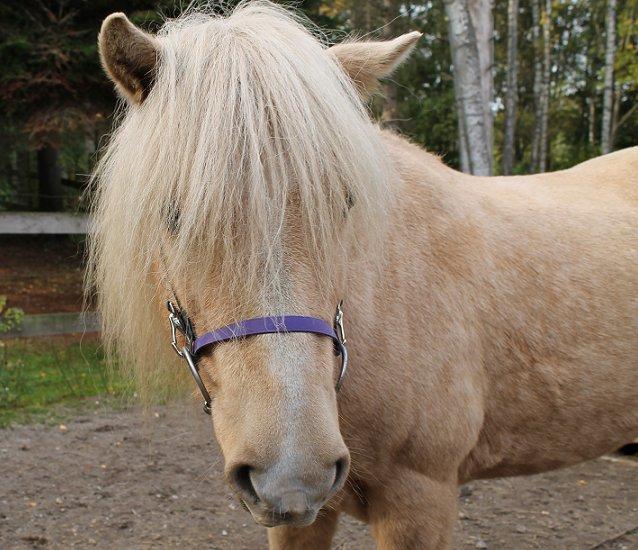 Mit Biothan udstyr - Leipi
Ejer: Jeanne billede 22