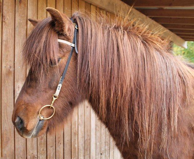 Mit Biothan udstyr - Ejer: Lene Warming billede 23