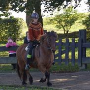 Efterårsstævne på Skipper