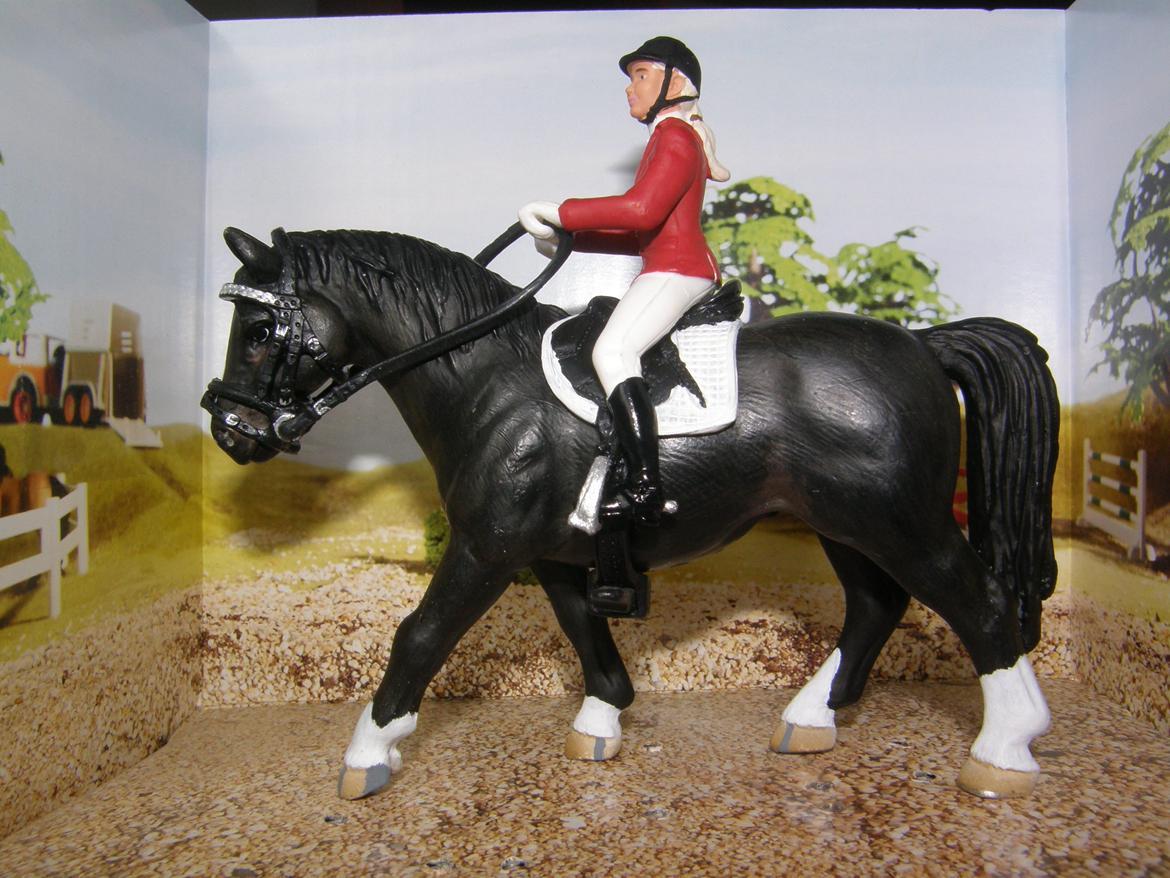 Mine Schleich Dyr - Caitlin. (Kate) på Star Prentiss.   billede 156