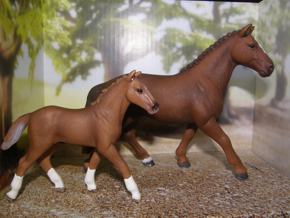 Mine Schleich Dyr - Navn: Queen Of Hearts. Race: Hannevoraner. Køn: Hoppe. Alder: 13 år. Navn: Hindbærgårdens Maxell. Race: Hannevoraner. Køn: Hingst. Alder: 7 mdr. Stamtavle: Mor: Queen Of Hearts. Far: B.H.  Matiné II  billede 64