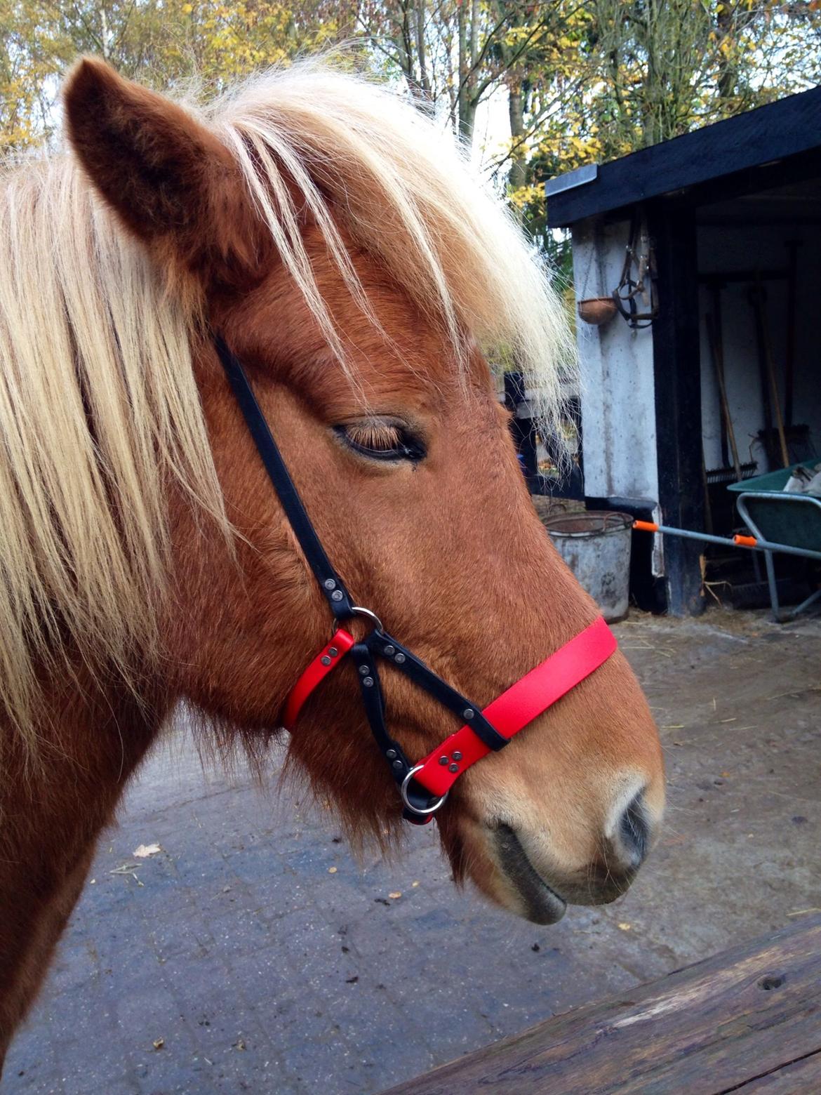 Mit Biothan udstyr billede 3